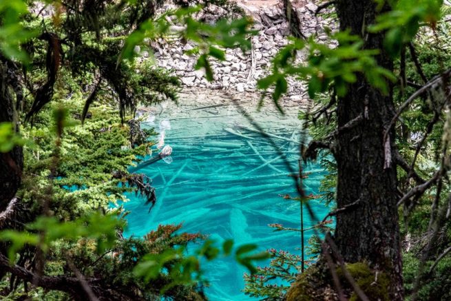Emerald water pond view through canopee