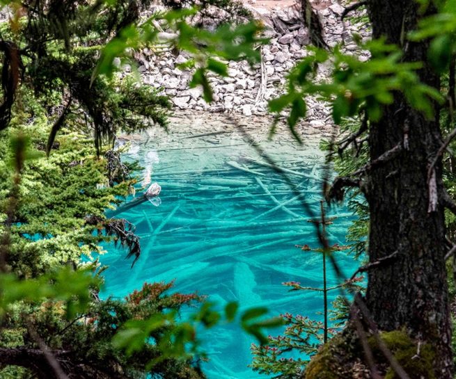 Emerald water pond view through canopee