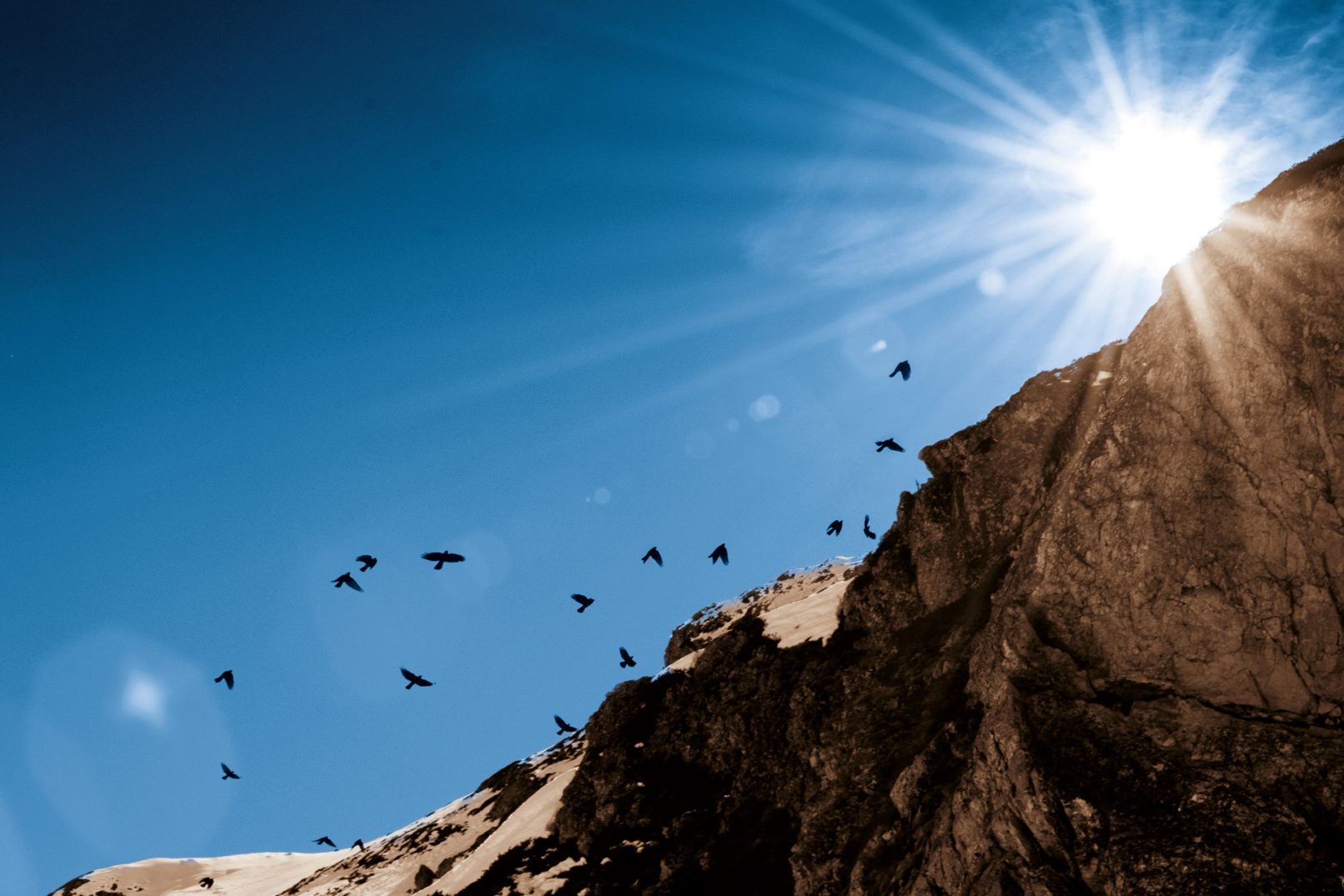 Group of birds flying in the mountains below sunlights