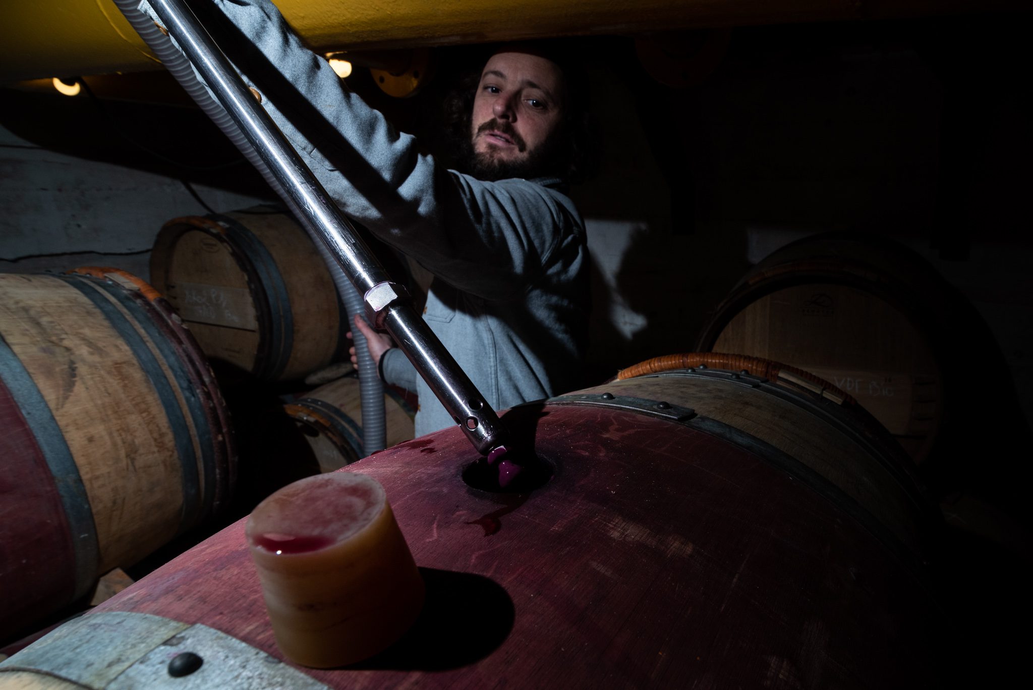 vigneron prélevant du vin d'une barrique