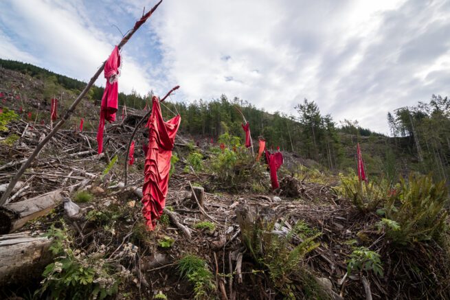 Red dresses, MMIWG2S
