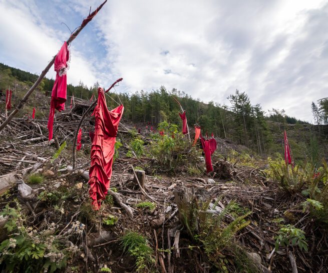 Red dresses, MMIWG2S